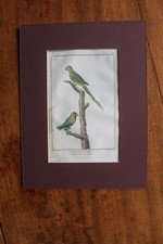 Très rare Gravure XVIIIè de