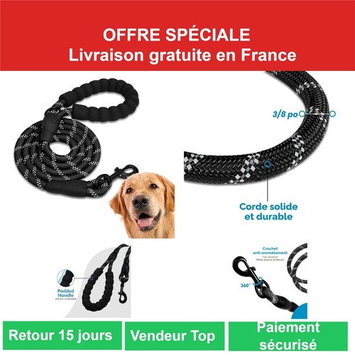 Edipets laisse chien - laisse,