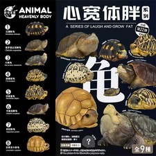 Animal Planet tortoise Series