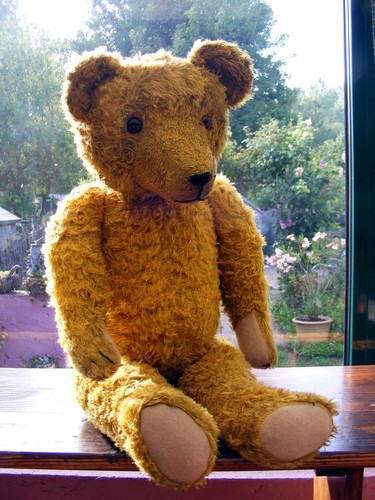 Pacha ours ancien - ancien, tout