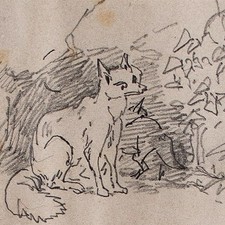 Joseph Simon Volmar Fox Animal Study Signed Unique Pencil Drawing 19th Century