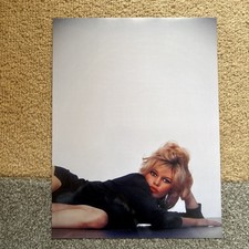 photo brigitte bardot