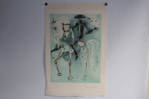 Salvador dali lithographie - salvador,