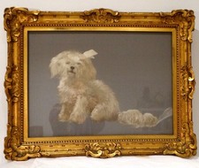 Ancien tableau huile sur soie bichon maltais, cadre en bois doré style Louis XV