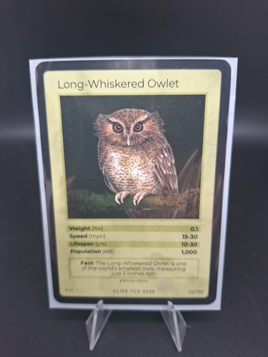 Life tcg birds - life,