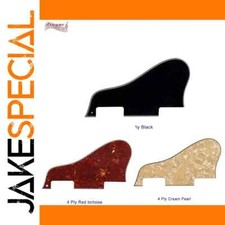 JakeSpecial – Pleroo Custom