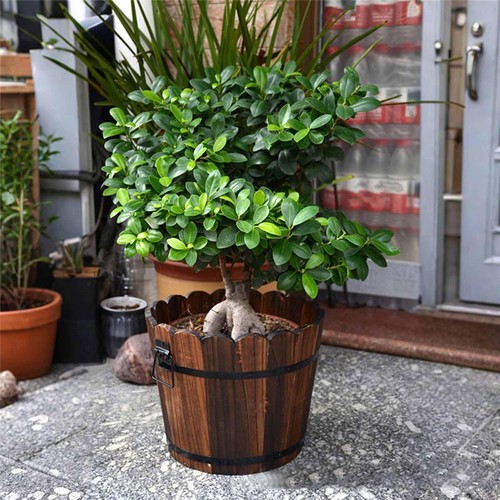 Jardinière bois ornement - en, bois,