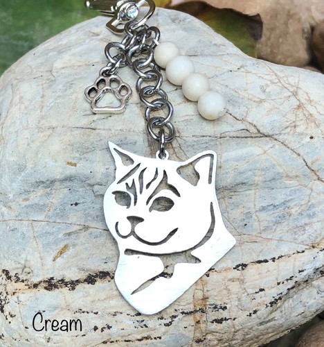British shorthair cat key - cat,
