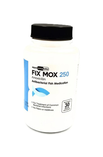 For aquarium use fish aqua - aquarium,