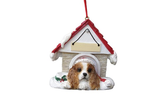 Cavalier king charles - king, spaniel