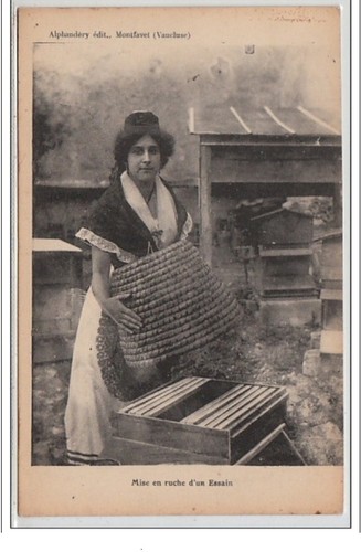 Montfavet mise ruche d un - ruche, d'un