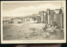 lion sur mer la plage LES