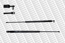 VéRIN DE COFFRE / HAYON