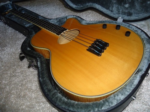 2009 washburn ab40 - washburn, stu