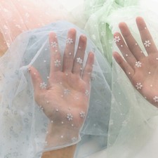 Tulle En Dentelle Transparent