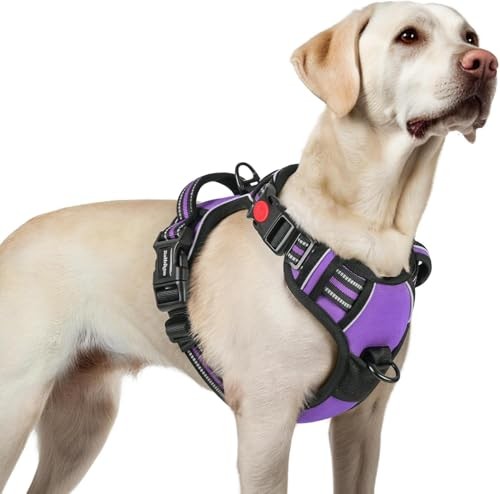 Harnais réglable pour chien - réglable,