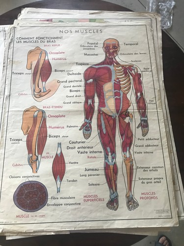 Ancienne carte scolaire - , mdi