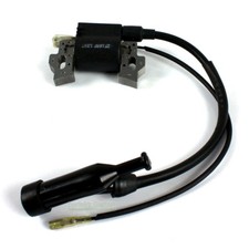 Bobine d'allumage pour moteur