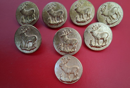 Anciens bouton venerie chasse - bouton,