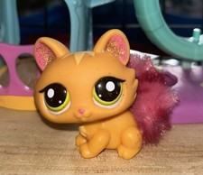 Petshop chat sphynx 2576 - chat,
