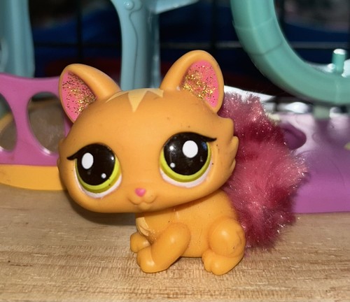 Petshop chat sphynx 2576 - sphynx, /