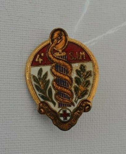 Insigne metal section - metal,