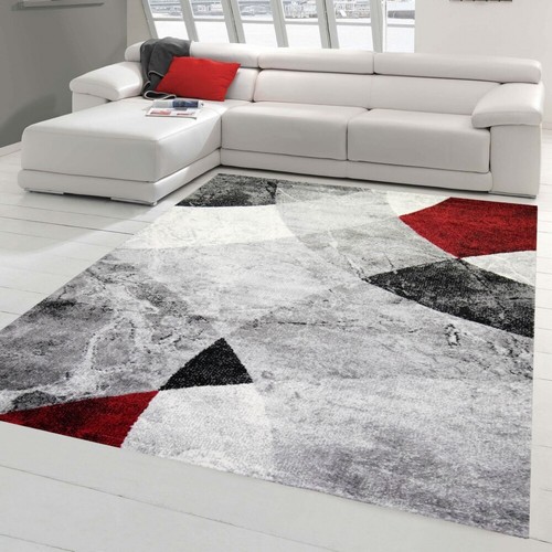 Tapis salon moderne design - tapis,