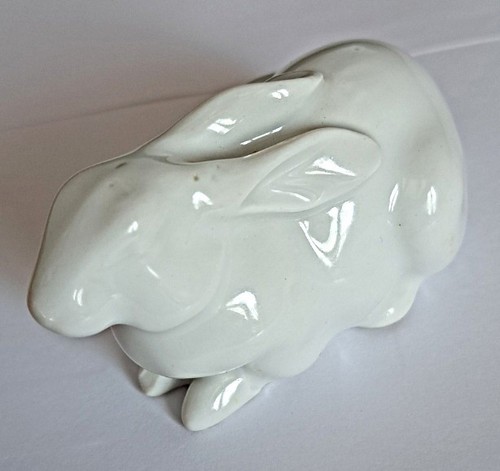 Magnifique lapin blanc - , en