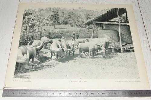 Photo ecole 1950 colonies - photo,