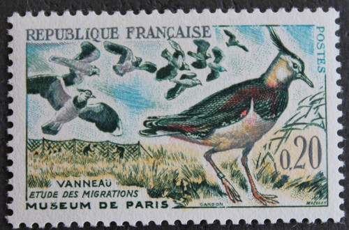 Timbre france oiseau - timbre,