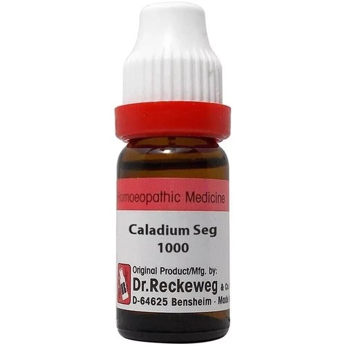 Reckeweg caladium seg - dr.,
