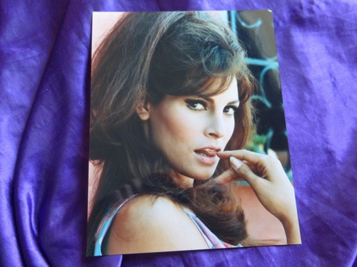 Raquel welch photo - raquel,