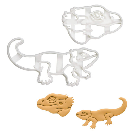 Set pogona bearded dragon - set,