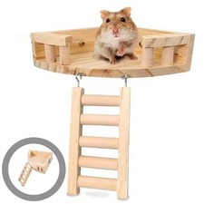 Cage À Furet Échelle Pour