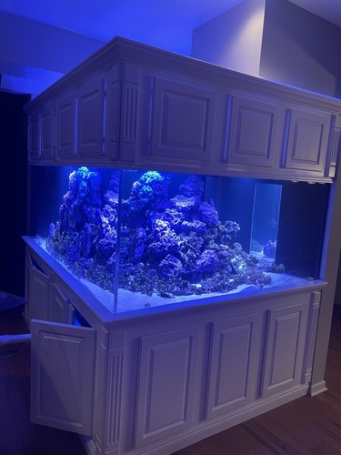 300 aquarium and stand custom - 300+,