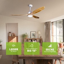 Ventilateur de Plafond Avec