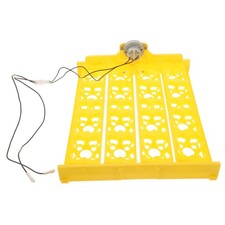  Couveuses Pour Œufs De