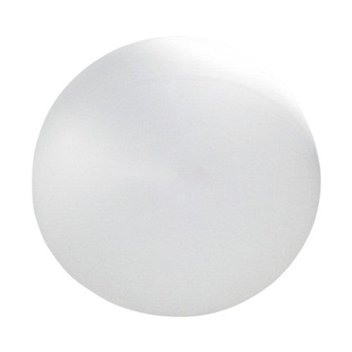 Ballon géant professionnel
