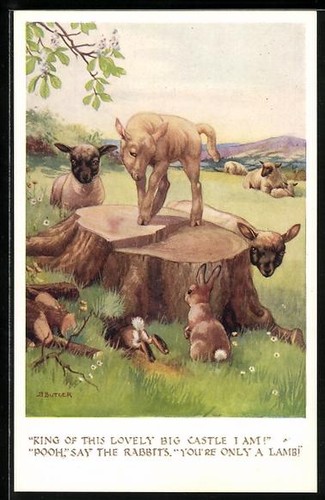 Agneau lapin dans le - dans,