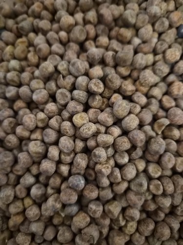 5kg pois erable carpe - pois, d’erable