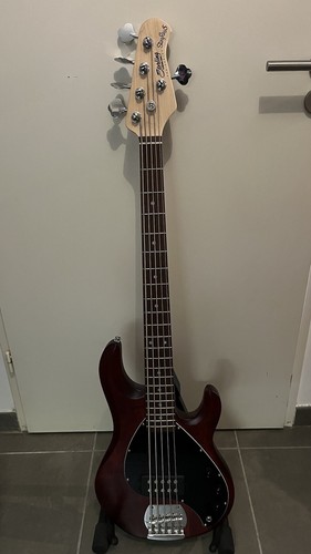 Basse sterling musicman - basse,