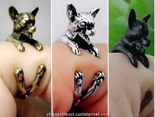 Bague chien chihuahua - chien,