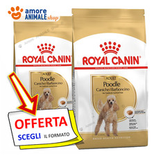 Royal Canin Chien → Adulte