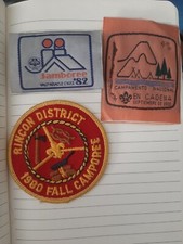 Lot Insignes Scoutisme Scout