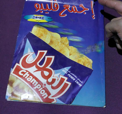 Collect flippos champion