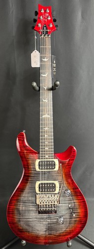 Prs custom floyd - 24, "floyd"