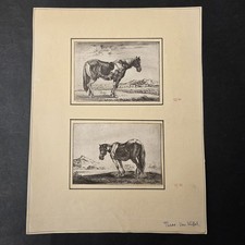 2 Gravures XVIIè Animaux