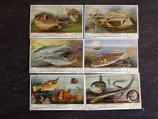 LOT 6 CHROMOS LIEBIG SERIE