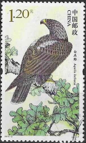 Timbre oiseaux rapaces chine - oiseaux,