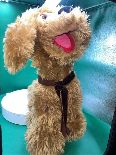 Professional handmade dog - professional,